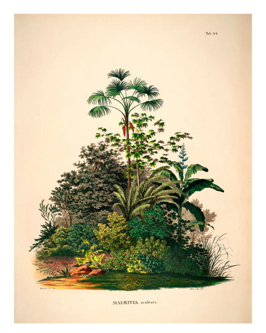 Mauritia poster - The Dybdahl Co.