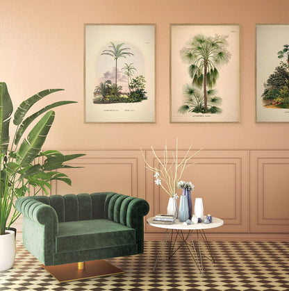 Blechnum poster - The Dybdahl Co.